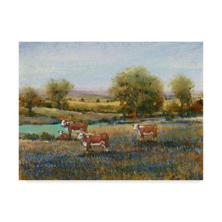 Tim Otoole 'Field Of Cattle Ii' Canvas Art,24x32